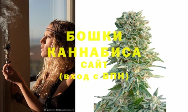 гашик Киреевск